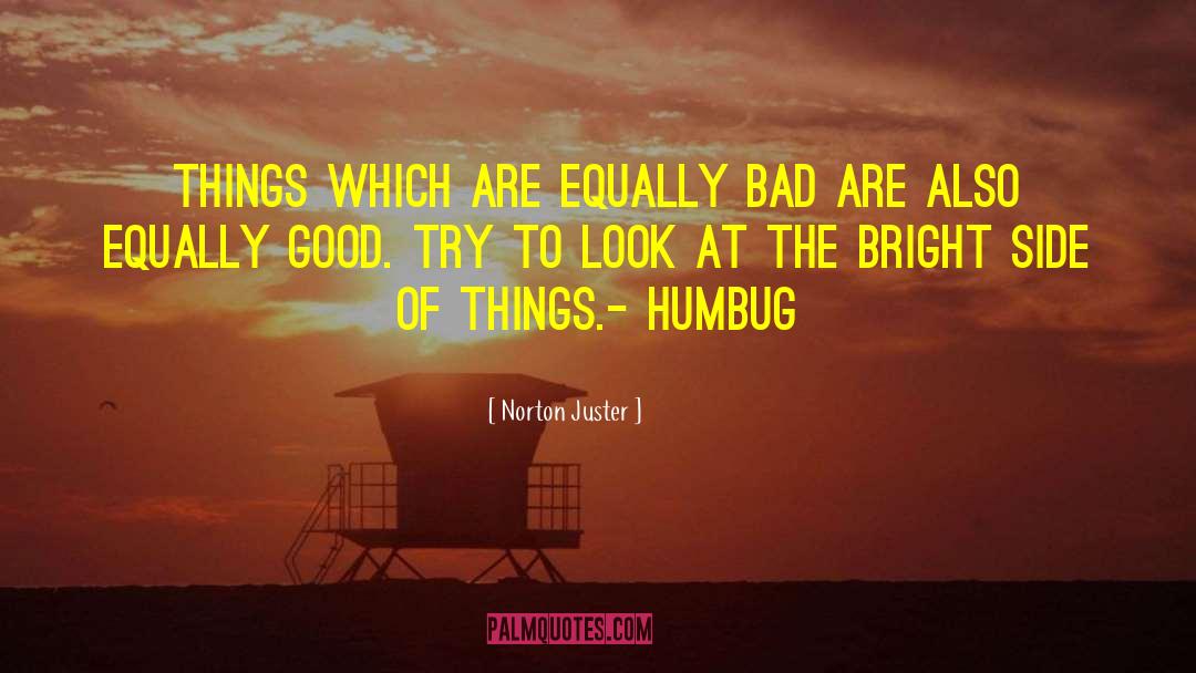 Humbug quotes by Norton Juster