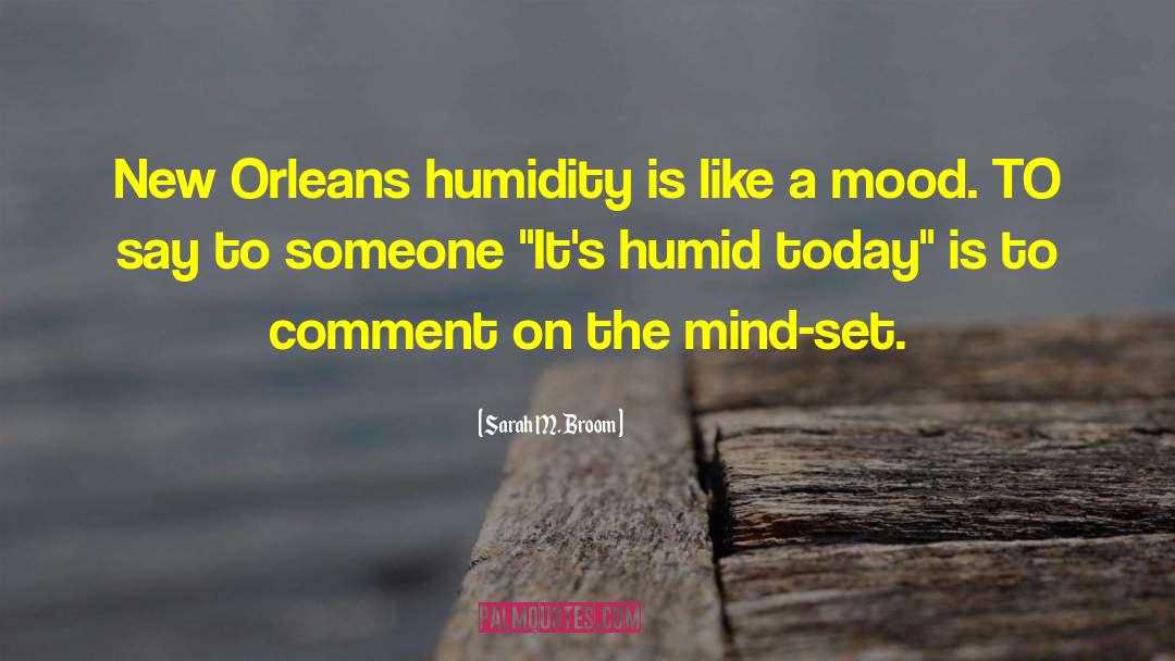 Humidity quotes by Sarah M. Broom