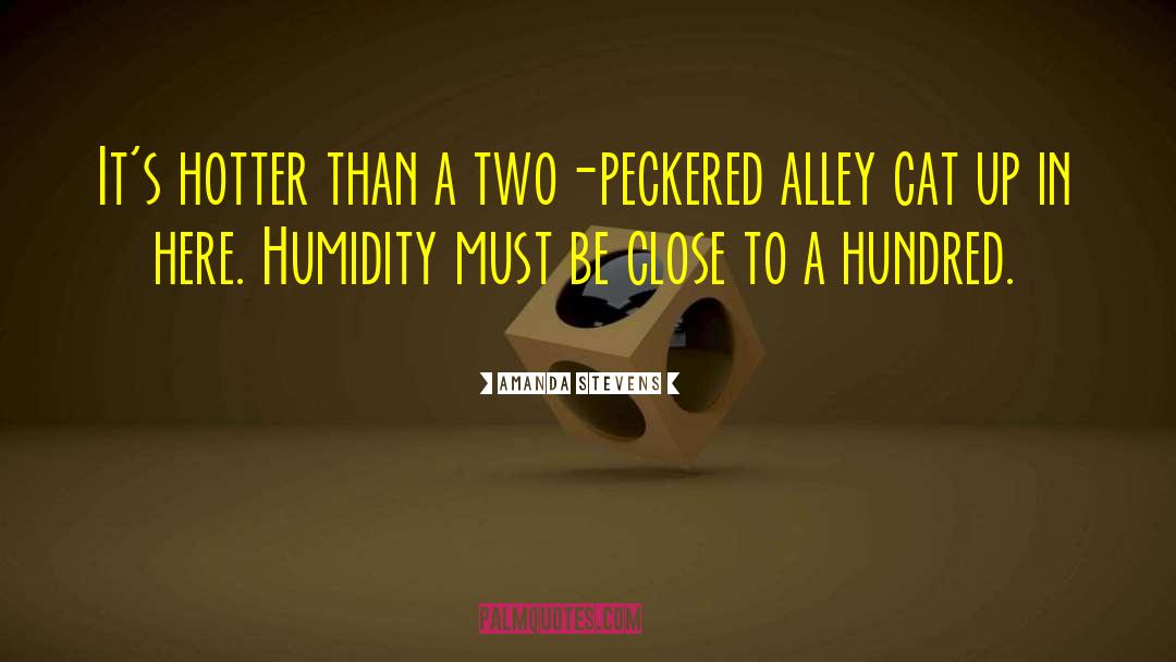 Humidity quotes by Amanda Stevens