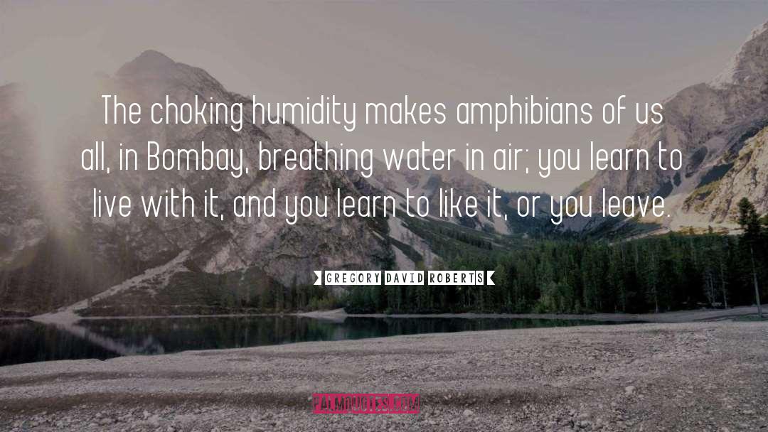 Humidity quotes by Gregory David Roberts