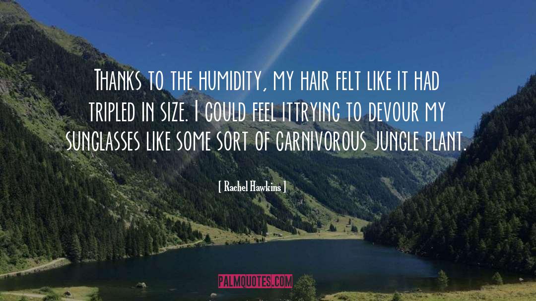 Humidity quotes by Rachel Hawkins