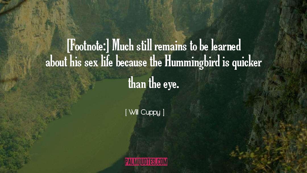 Hummingbird quotes by Will Cuppy