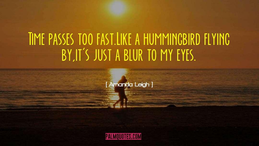 Hummingbird quotes by Amanda Leigh