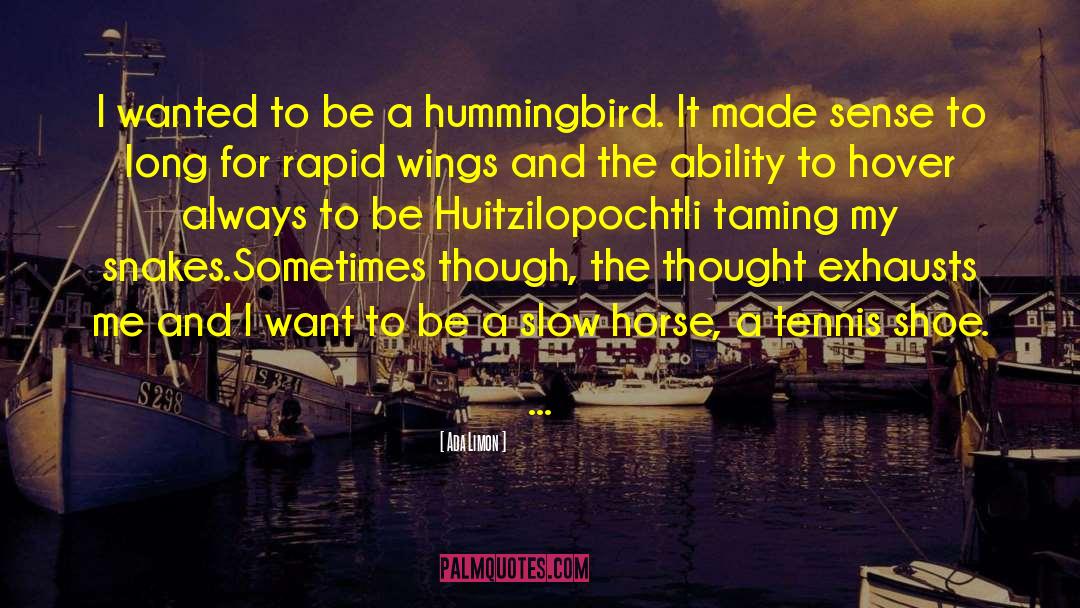 Hummingbird quotes by Ada Limon