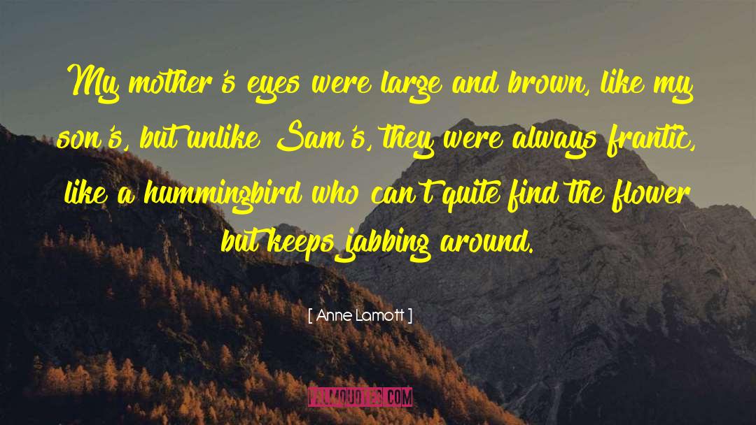 Hummingbird quotes by Anne Lamott