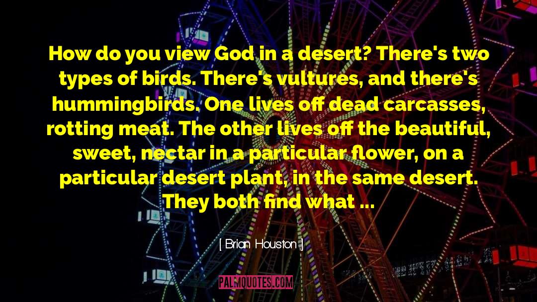 Hummingbirds quotes by Brian Houston