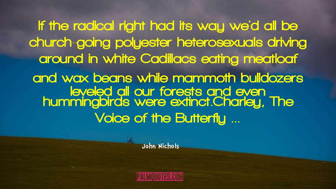 Hummingbirds quotes by John Nichols