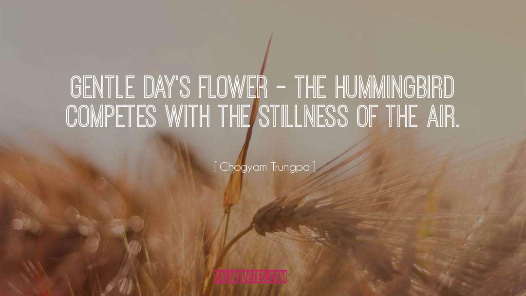Hummingbirds quotes by Chogyam Trungpa