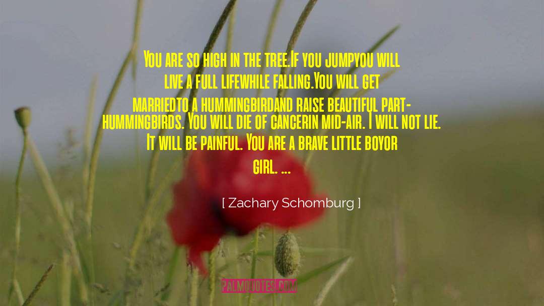 Hummingbirds quotes by Zachary Schomburg