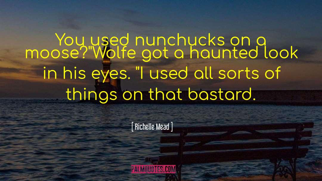 Humor Insight quotes by Richelle Mead