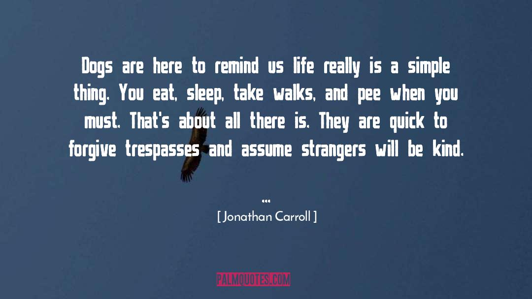 Humor Life quotes by Jonathan Carroll
