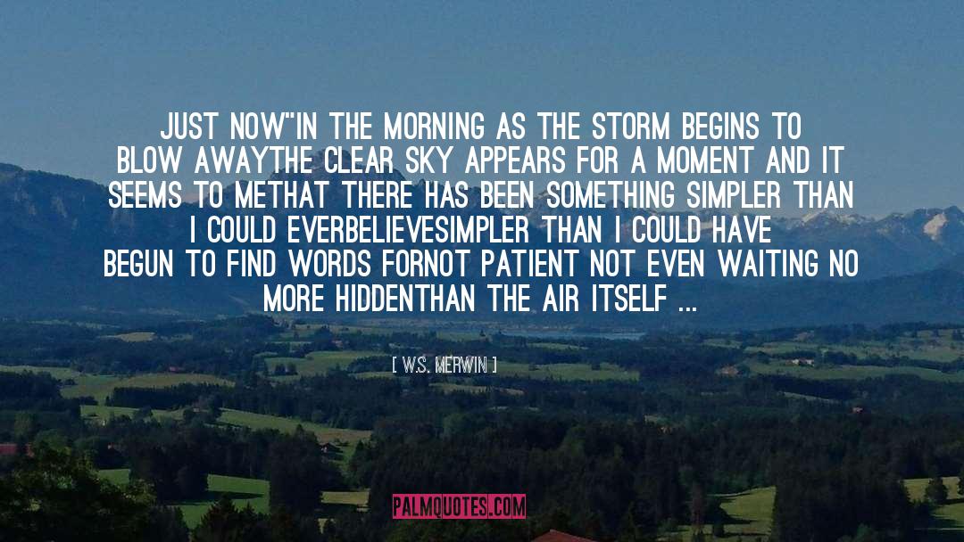 Humor Neither Here Nor There quotes by W.S. Merwin