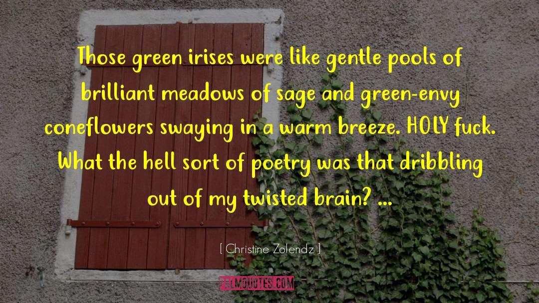 Humor Poetry quotes by Christine Zolendz