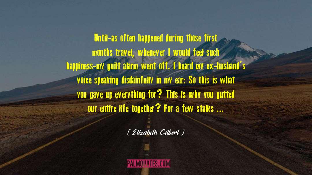 Humor Tedros quotes by Elizabeth Gilbert