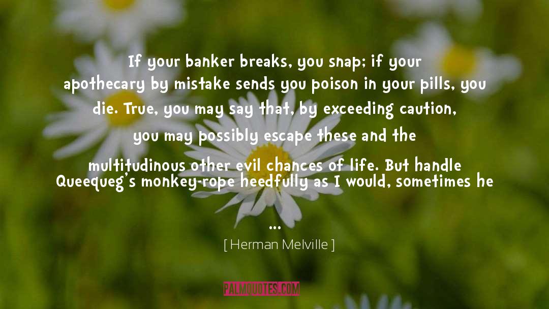 Humorious Caution quotes by Herman Melville