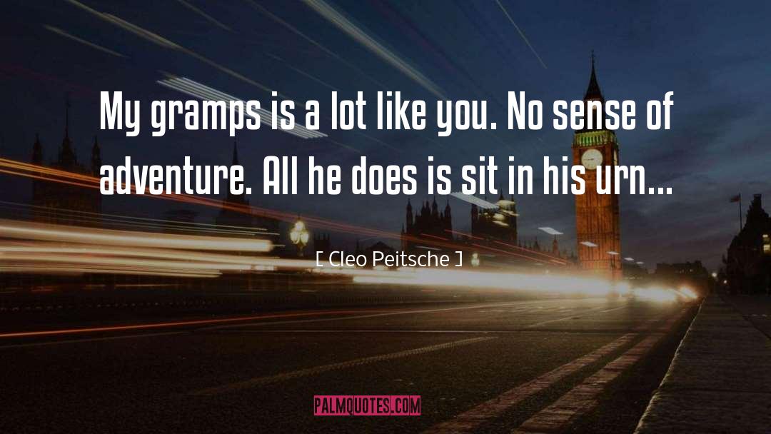 Humorous Descriptions quotes by Cleo Peitsche