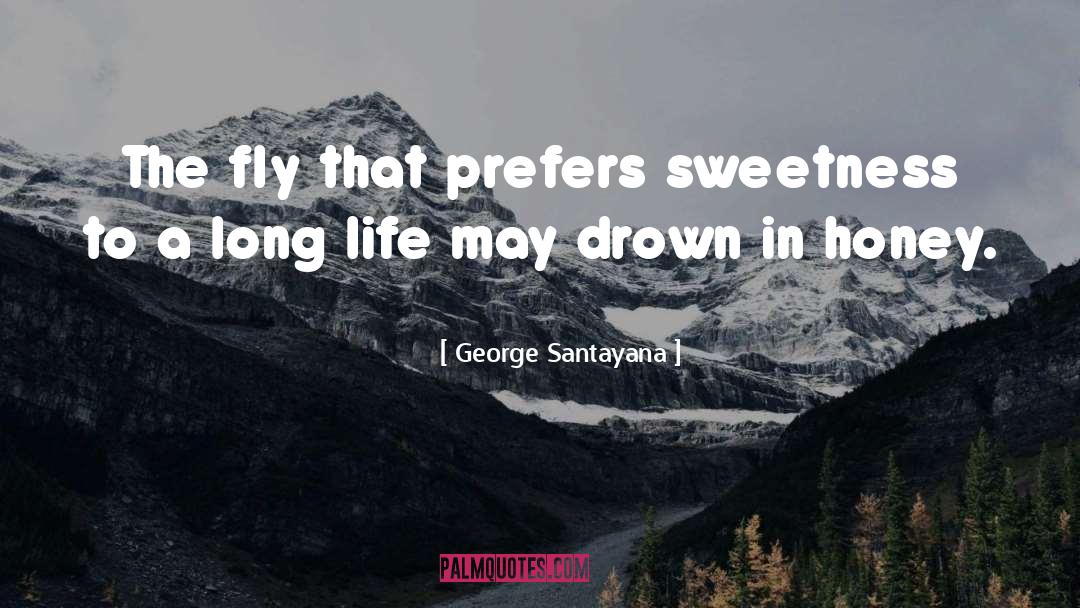 Humorous Life quotes by George Santayana