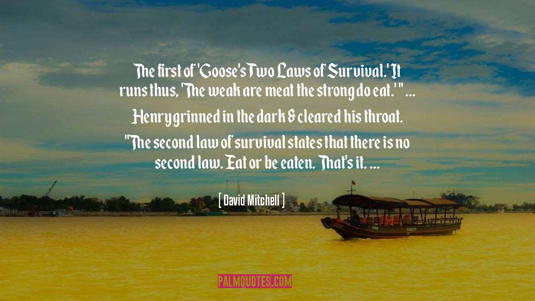 Humorous Life quotes by David Mitchell