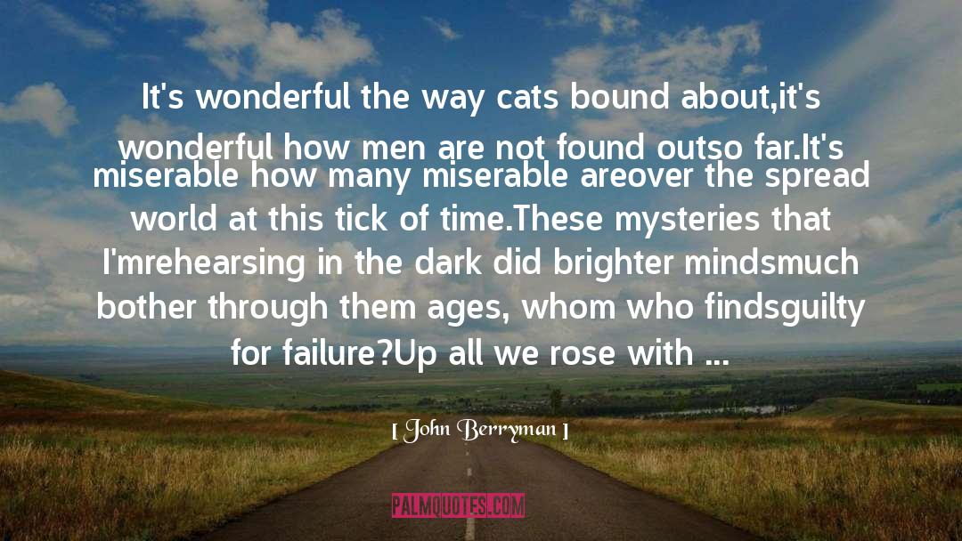 Humorous Mysteries quotes by John Berryman