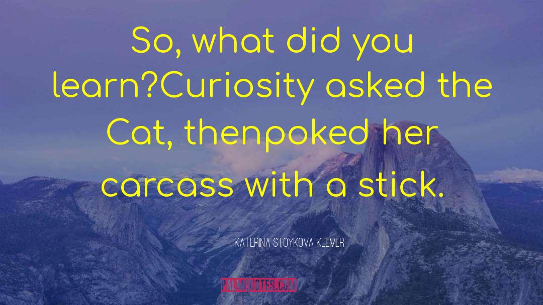 Humour Humor quotes by Katerina Stoykova Klemer