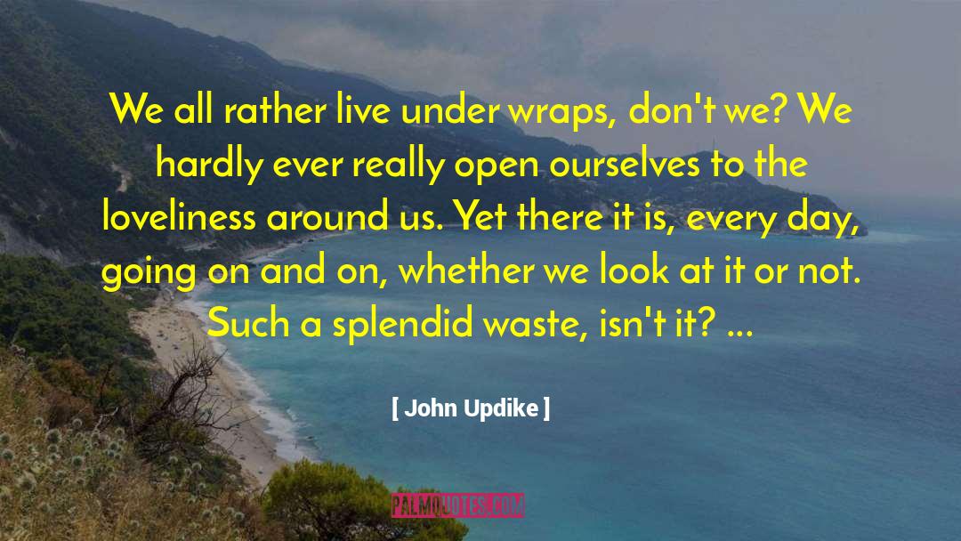 Hump Day quotes by John Updike