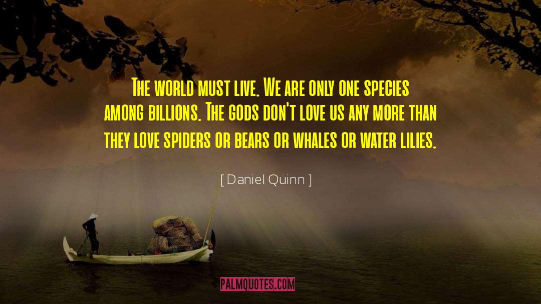 Humpback Whales quotes by Daniel Quinn