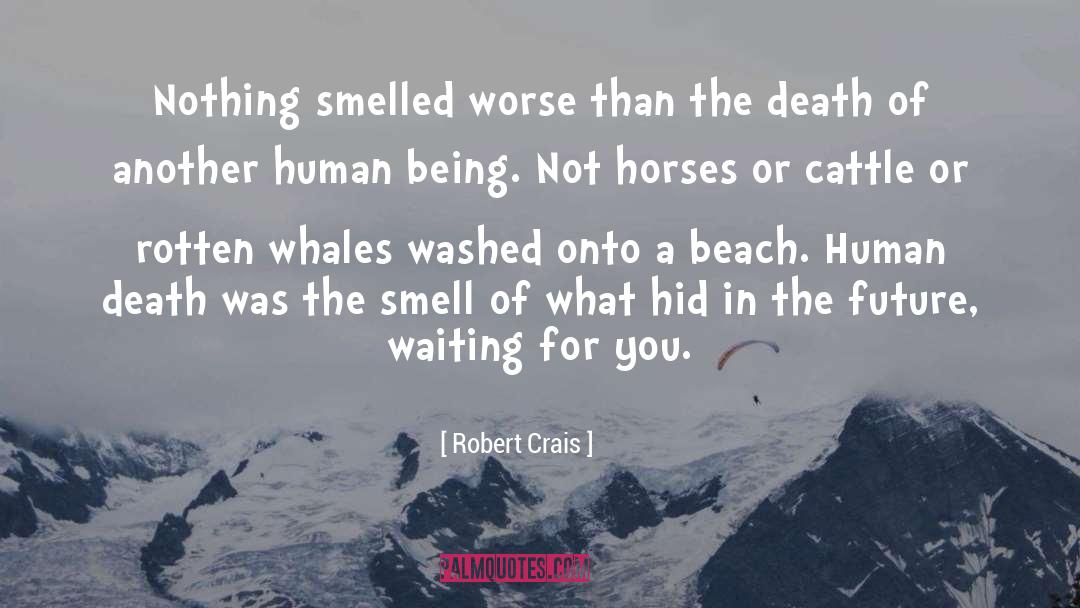 Humpback Whales quotes by Robert Crais