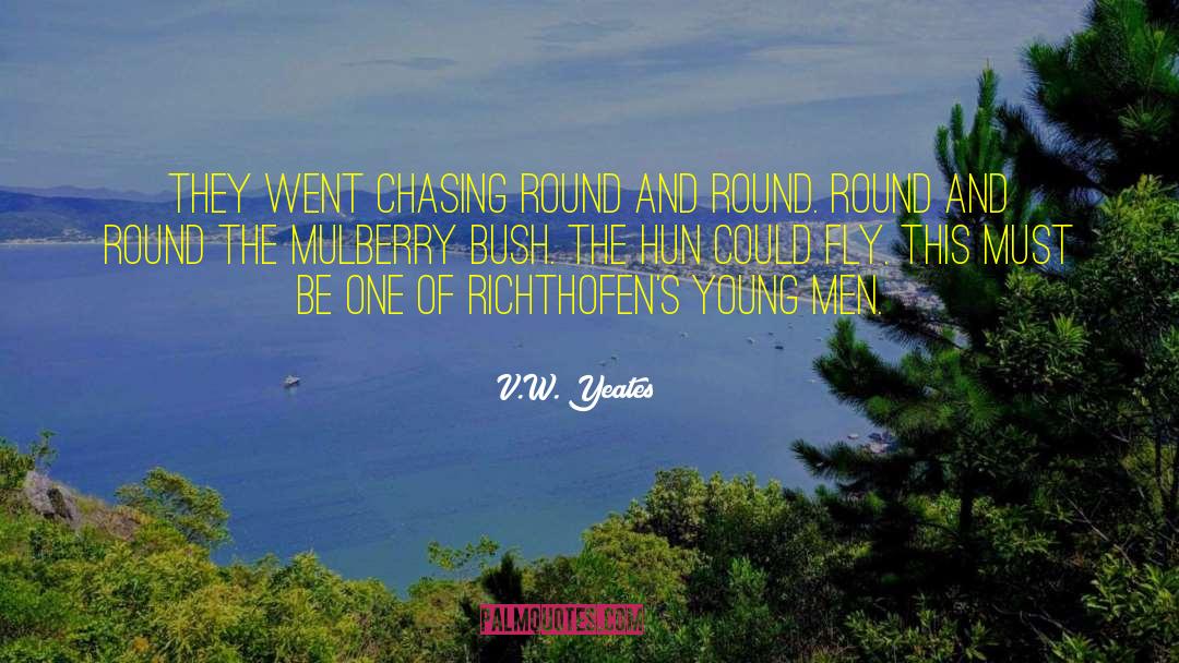 Hun quotes by V.W. Yeates