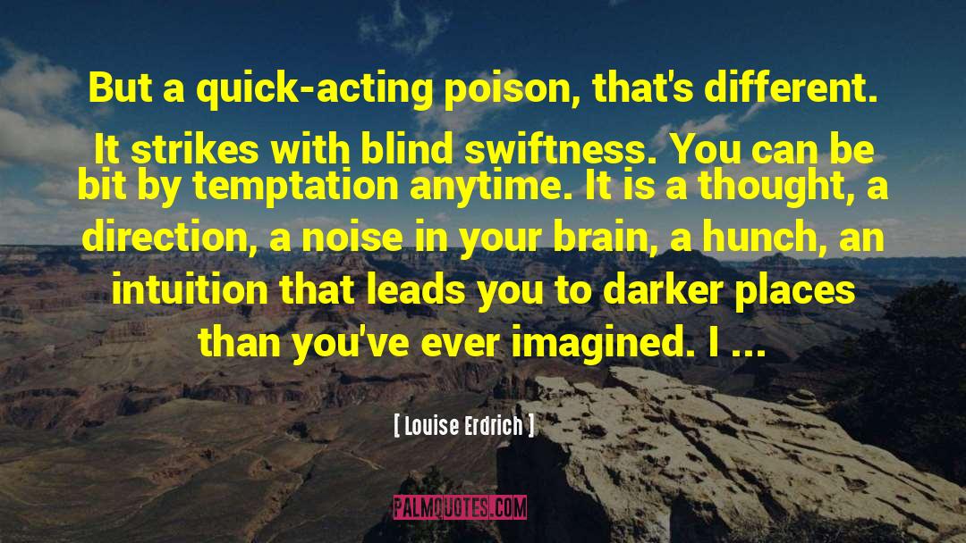 Hunch quotes by Louise Erdrich