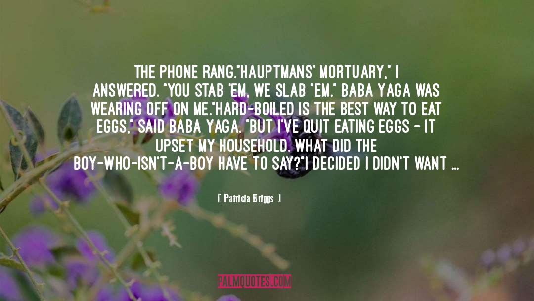 Hung Up quotes by Patricia Briggs