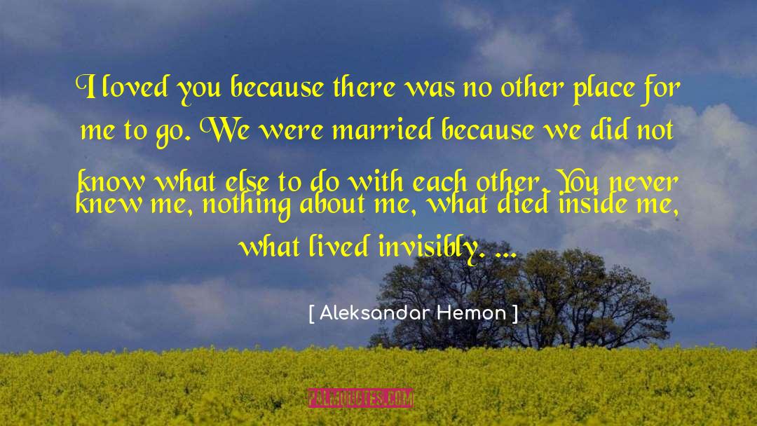 Hunger For Love quotes by Aleksandar Hemon