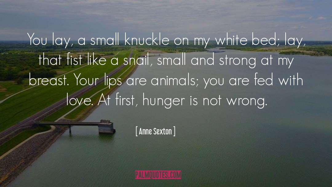 Hunger Strike quotes by Anne Sexton