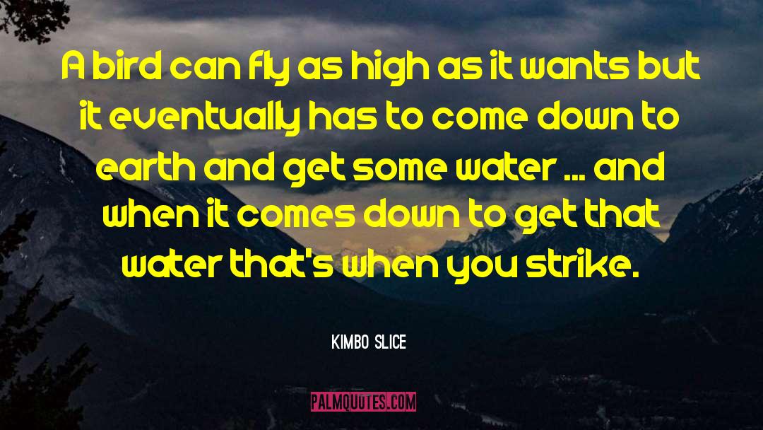 Hunger Strike quotes by Kimbo Slice