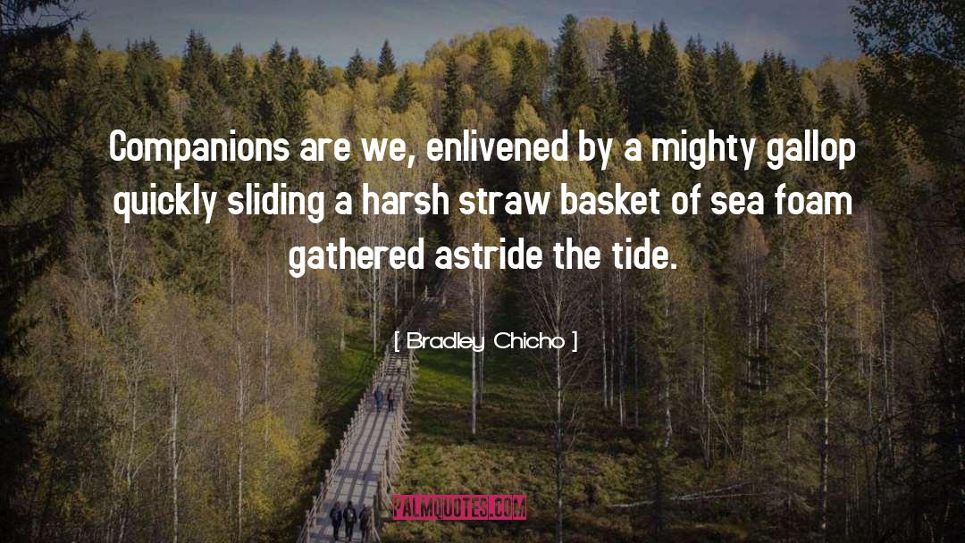 Hungry Tide quotes by Bradley Chicho