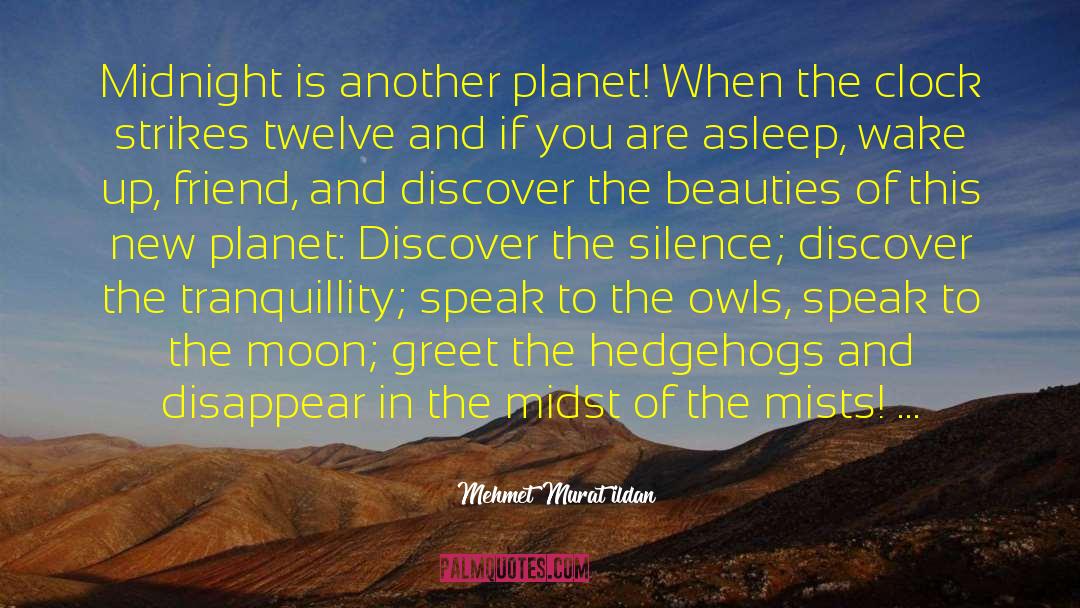 Hunt The Moon quotes by Mehmet Murat Ildan