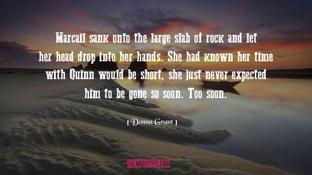 Hunter And Quinn quotes by Donna Grant