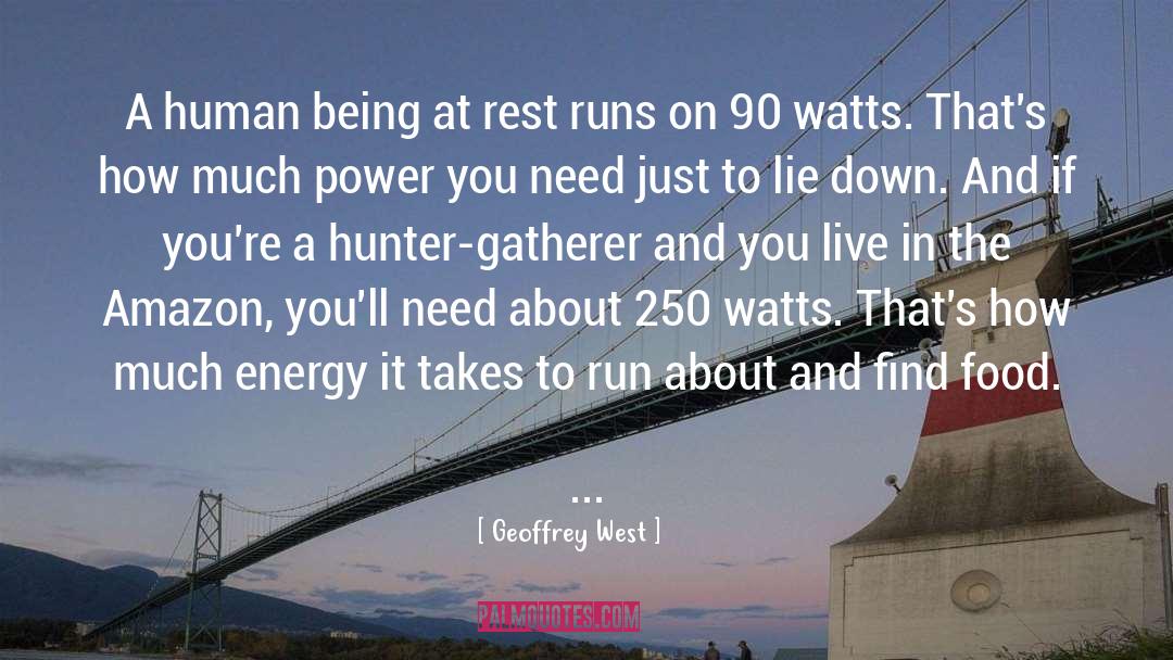 Hunter Gatherer quotes by Geoffrey West