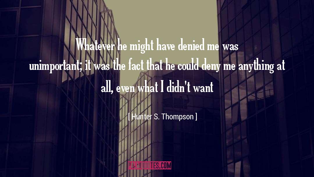 Hunter S Thomcat quotes by Hunter S. Thompson