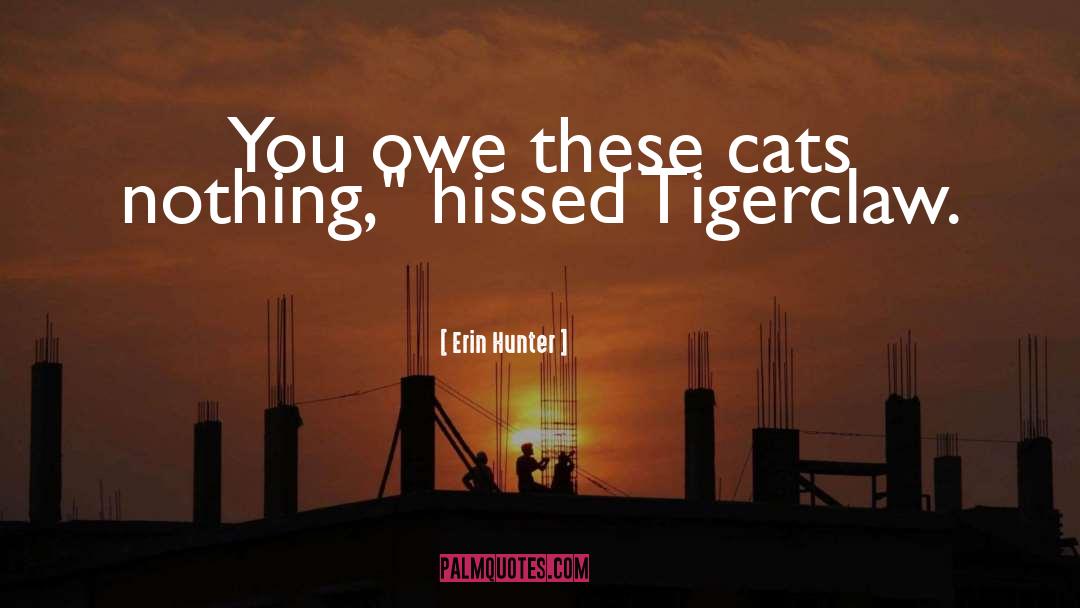 Hunter X Hunter Incorrect quotes by Erin Hunter