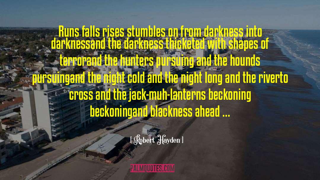 Hunters quotes by Robert Hayden