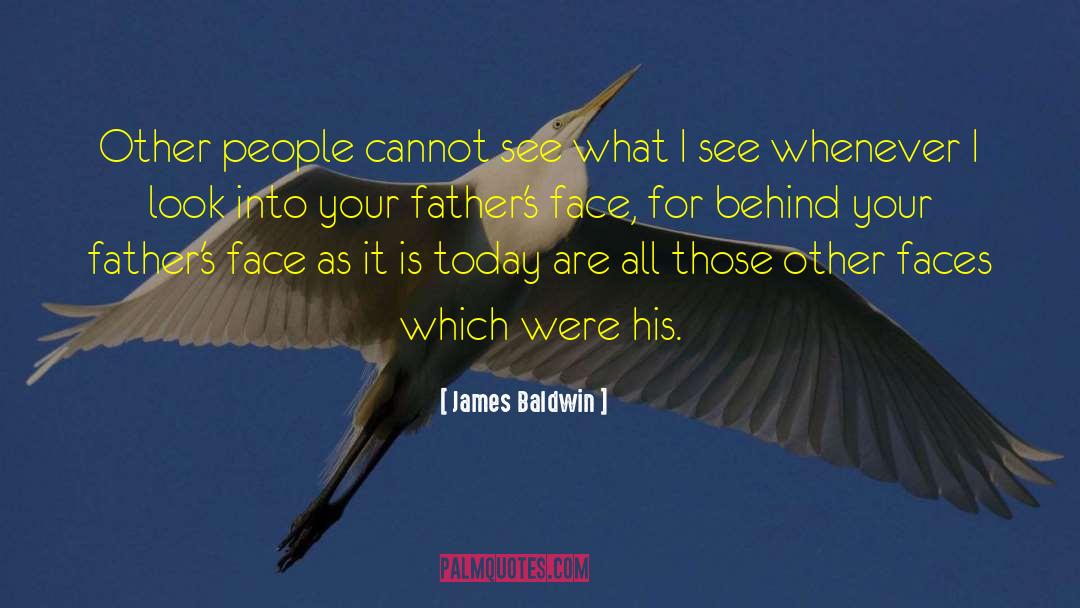Hunting Elephants James Roy quotes by James Baldwin