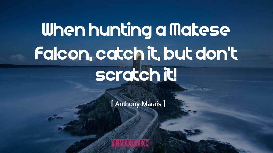 Hunting quotes by Anthony Marais