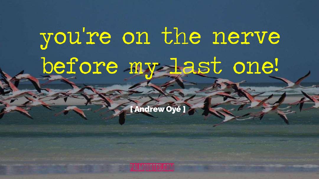 Hurricane Andrew quotes by Andrew Oyé