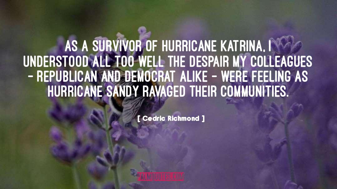 Hurricane Andrew quotes by Cedric Richmond