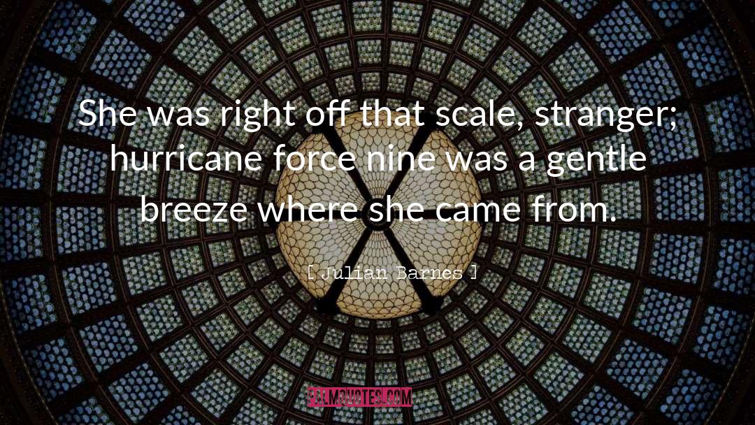 Hurricane Katrina quotes by Julian Barnes