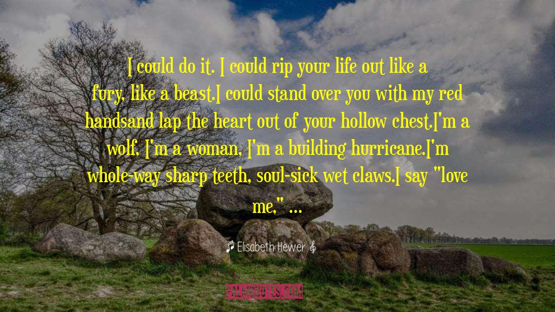 Hurricane quotes by Elisabeth Hewer