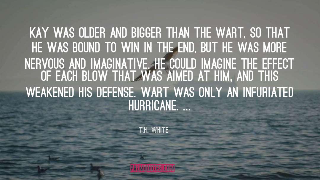 Hurricanes quotes by T.H. White