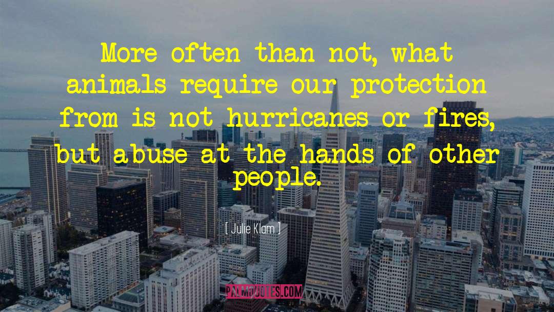 Hurricanes quotes by Julie Klam