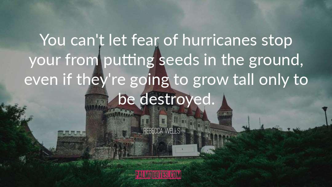 Hurricanes quotes by Rebecca Wells