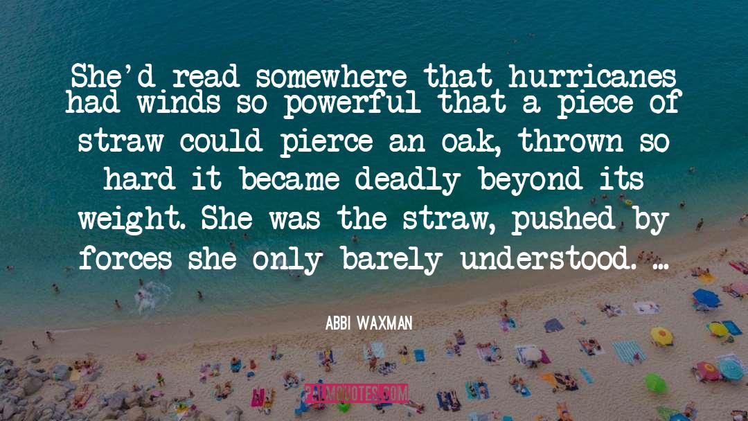 Hurricanes quotes by Abbi Waxman